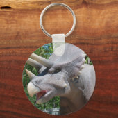 Porte-clés Tricératops Dinosaures (Recto)