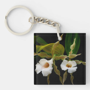 Porte-clés Trichopilia Tortilis