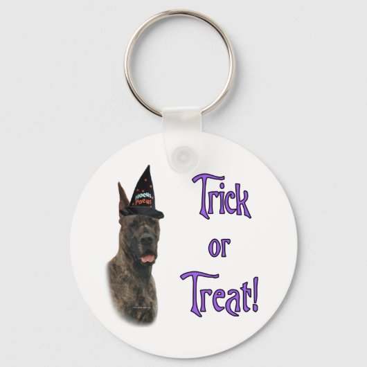 Porte-clés Trick Great Dane (broche) (Recto)