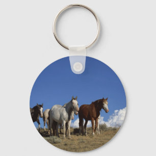 Porte-clés Trio de cheval