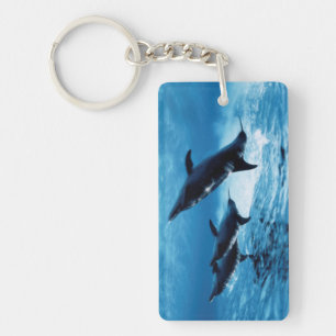 Porte-clés Trio de dauphins
