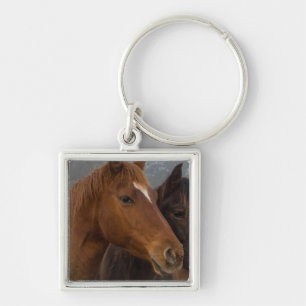 Porte-clés Triplets de chevaux