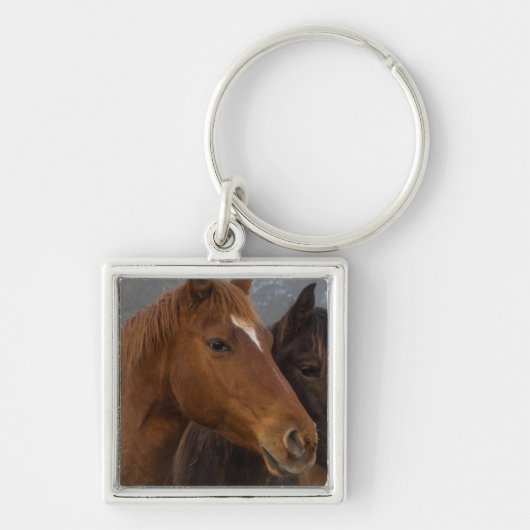 Porte-clés Triplets de chevaux (Devant)