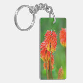 Porte-clés Tritome (Kniphofia Uvaria), Cap-Occidental (Devant gauche)