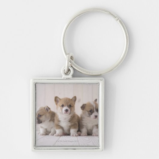 Porte-clés Trois corgis de Gallois (Devant)