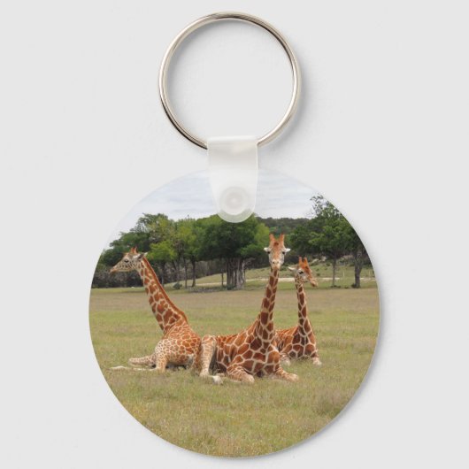 Porte-clés Trois girafe à Fossil Rim (Recto)