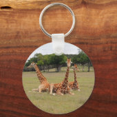 Porte-clés Trois girafe à Fossil Rim (Recto)