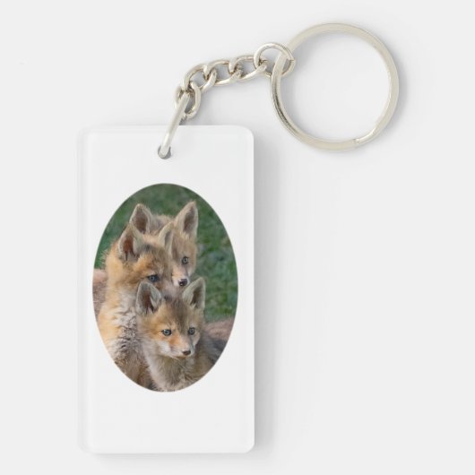 Porte-clés Trois Kits Alert Fox (Dos)