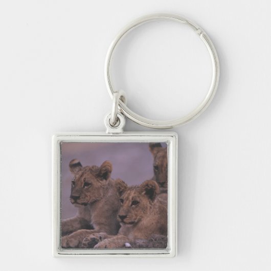 Porte-clés Trois lion CUB (Devant)