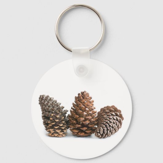 Porte-clés Trois pinecones (Recto)