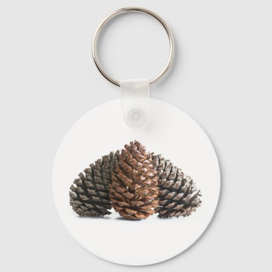 Porte-clés Trois pinecones (Recto)