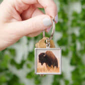 Porte-clés Troupeau De Bison Américain (Bison Bison) À Teton  (main)