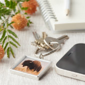 Porte-clés Troupeau De Bison Américain (Bison Bison) À Teton  (Côté)