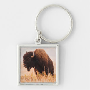 Porte-clés Troupeau de bisons d'Amérique (Bison Bison) à Teto
