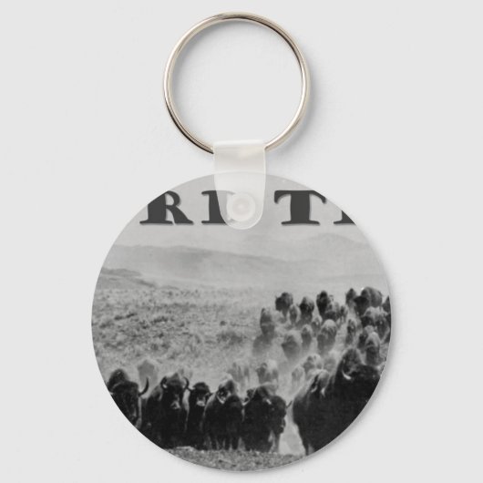 Porte-clés troupeau de buffles qui playa (Recto)