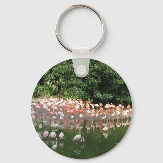 Porte-clés troupeau de flamants (Recto)