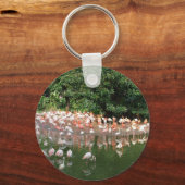 Porte-clés troupeau de flamants (Recto)