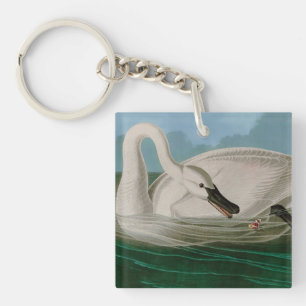 Porte-clés Trumpeter Swan Birds of America Audubon Print