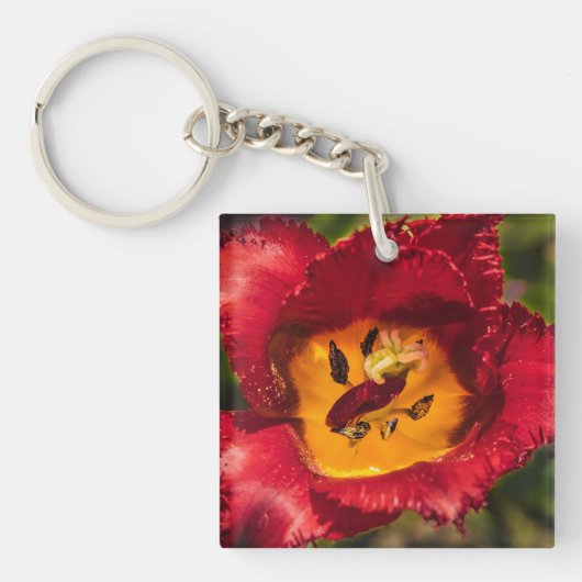 Porte-clés Tuliforme rouge (Devant)