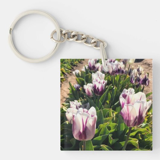 Porte-clés Tulipes à rayures blanches et violettes (Devant)