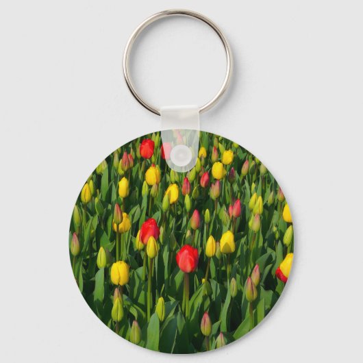 Porte-clés Tulipes colorées (Recto)