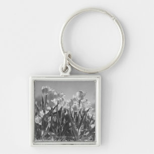 Porte-clés Tulipes en fleur