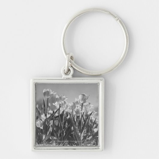 Porte-clés Tulipes en fleur (Devant)