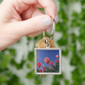 Porte-clés Tulipes rouges sous un angle très bas, Cincinnati, (main)