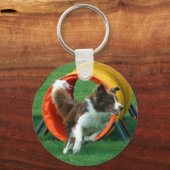 Porte-clés Tunnel d'agilité Brown des bordures (Recto)