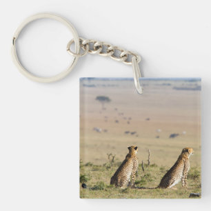 Porte-clés Two cheetahs on the look out