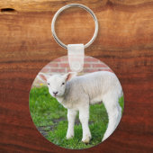 Porte-clés Un agneau blanc nouveau-né debout dans l'herbe ver (Recto)