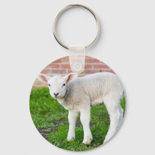 Porte-clés Un agneau nouveau-né blanc se tenant dans l'herbe