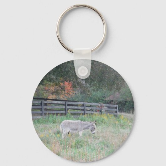 Porte-clés Un âne dans un champ d'automne. (Recto)