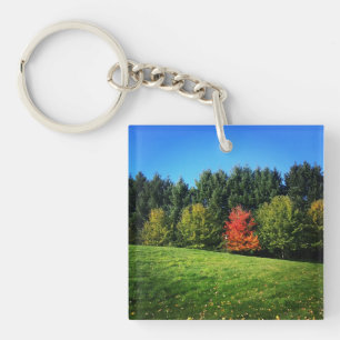 Porte-clés Un arbre rouge