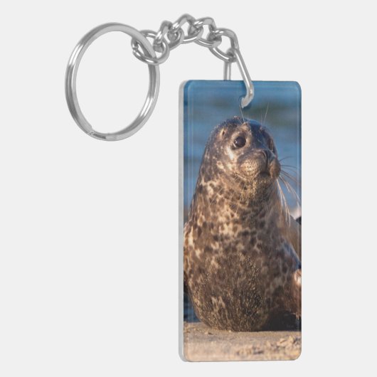 Porte-clés Un bébé phoque débarquant dans le bassin pour enfa (Devant gauche)