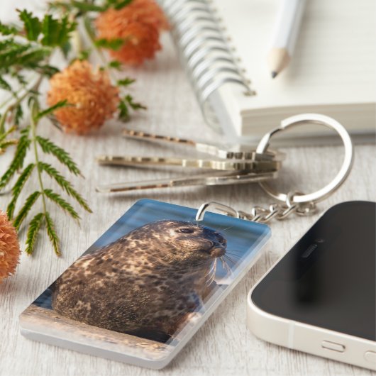 Porte-clés Un bébé phoque débarquant dans le bassin pour enfa (Devant droit)