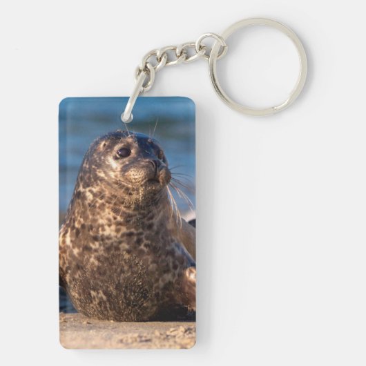 Porte-clés Un bébé phoque débarquant dans le bassin pour enfa (Dos)