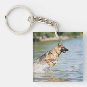 Porte-clés Un berger allemand se jette dans l'eau
