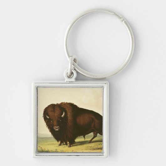 Porte-clés Un bison, c.1832 (Devant)