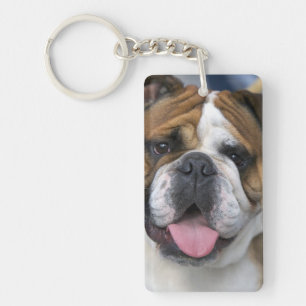 Porte-clés Un bouledogue anglais en Belgique.