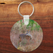 Porte-clés Un cerf dans l'herbe haute (Recto)