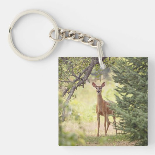 Porte-clés Un cerf solitaire (Devant)