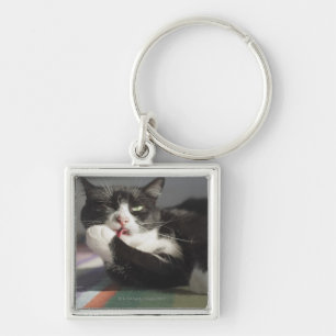 Porte-clés Un chat le léchant est patte