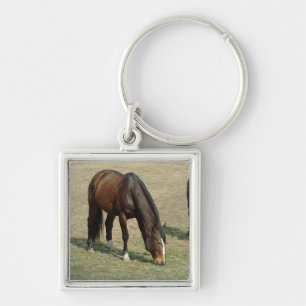 Porte-clés Un cheval - porte - clé