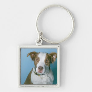 Porte-clés Un chien