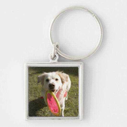 Porte-clés Un chien avec un frisbee (Devant)