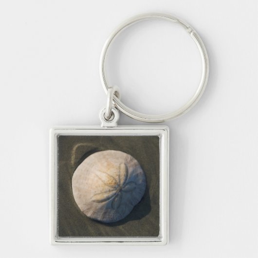 Porte-clés Un dollar de sable sur la plage (Devant)