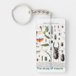 Porte-clés "Un entomologiste"