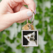 Porte-clés Un lemur. (main)