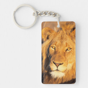 Porte-clés Un lion à crinière rouge regardant l'appareil phot